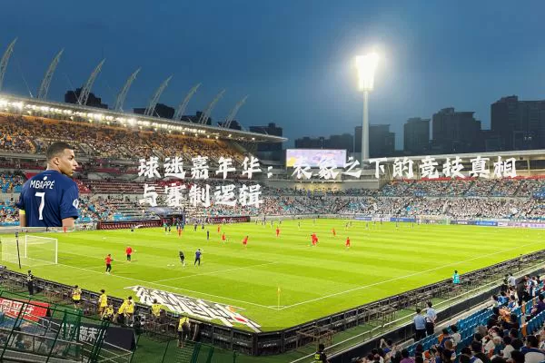 球迷嘉年华：表象之下的竞技真相与赛制逻辑